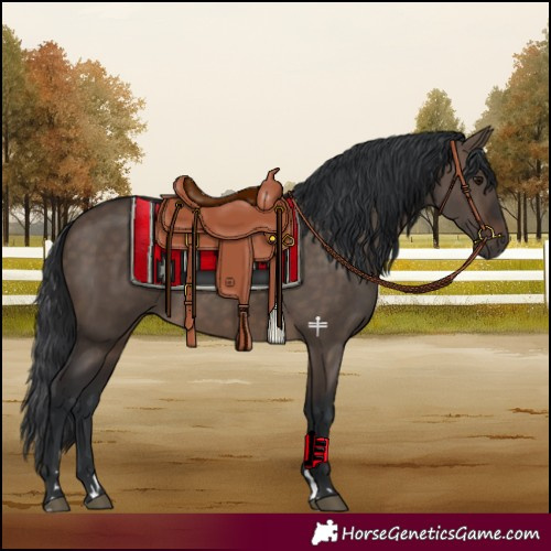 Horse Color:Brown Dun