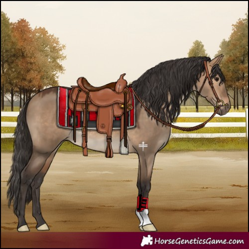 Horse Color:Bay Dun