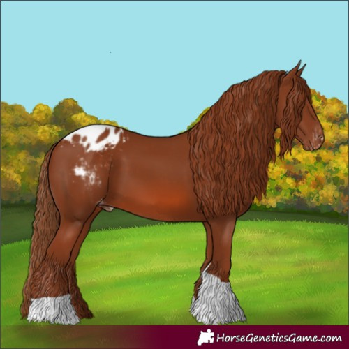 Horse Color:Unknown 