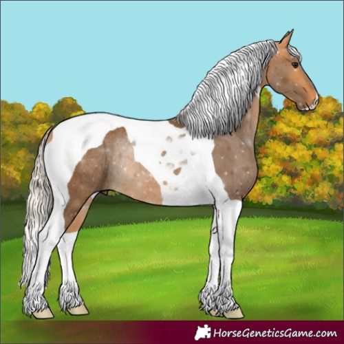 Horse Color:Silver Buckskin Tobiano Rabicano