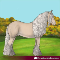 Horse Color:Cremello