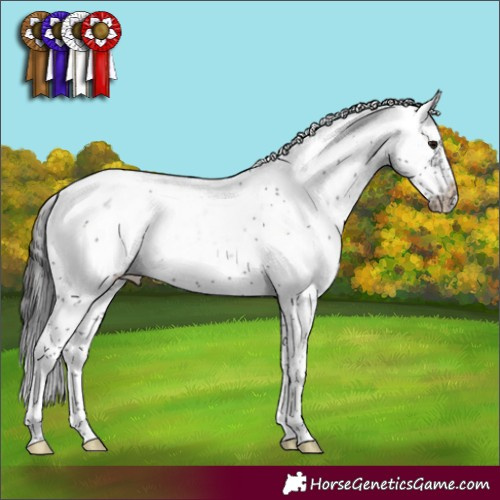 Horse Color:Smoky Black Sabino Frame Appaloosa 