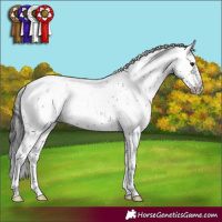 Horse Color:Smoky Black Sabino Frame Appaloosa 