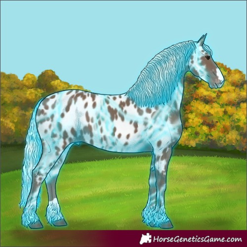 Horse Color:Thunderstruck Silver Black Appaloosa 