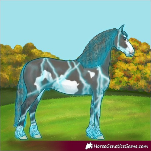 Horse Color:Painted Thunderstruck Grullo Frame