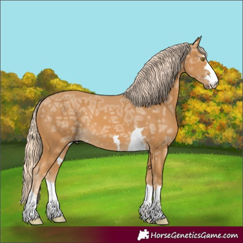 Horse Color:Palomino Ice 