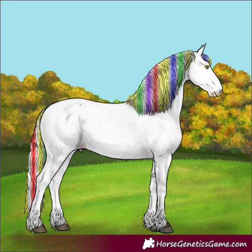 Horse Color:Painted Silver Bay Dun Appaloosa