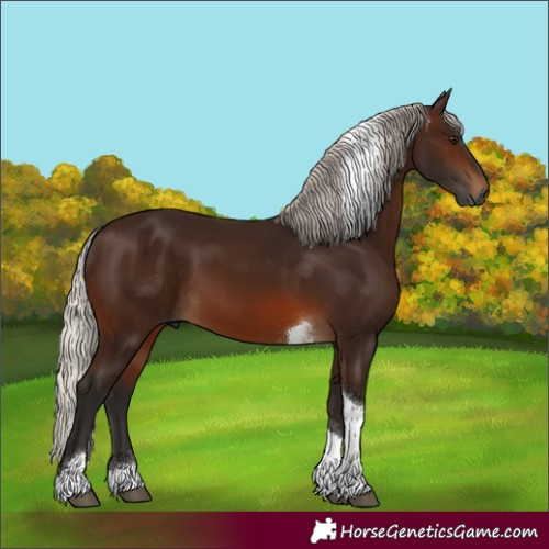 Horse Color:Gray Silver Brown Tobiano
