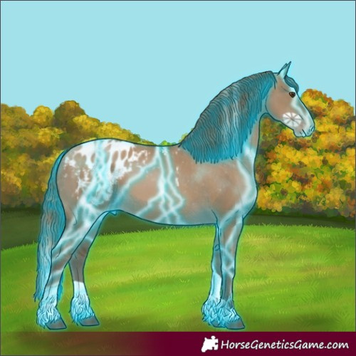 Horse Color:Gray Thunderstruck Grullo Pearl Tobiano Appaloosa