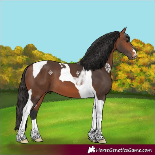 Horse Color:Bay Tobiano 