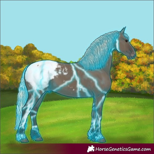 Horse Color:Gray Thunderstruck Silver Grullo Appaloosa 