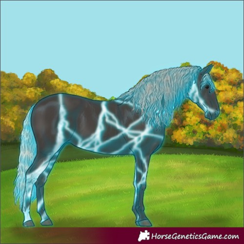 Horse Color:Gray Thunderstruck Silver Black 