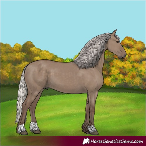 Horse Color:Silver Grullo