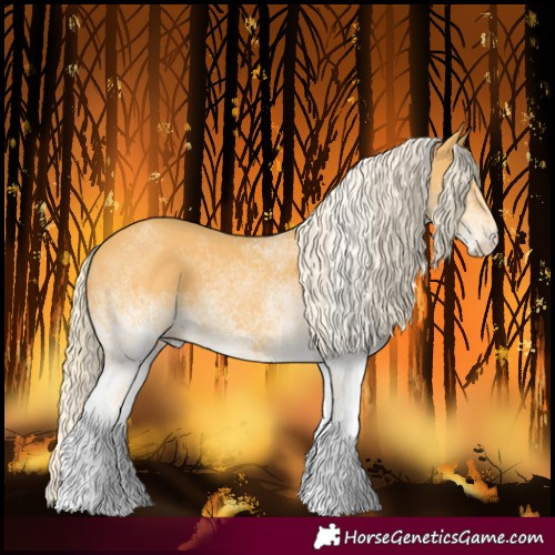 Horse Color:White Spotted Palomino