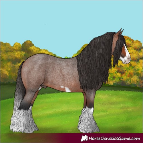 Horse Color:Bay Roan Splash Frame