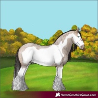 Horse Color:Bay Roan Dun Splash Frame Rabicano