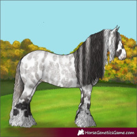 Horse Color:Smoky Grullo Roan Skewed LP Spotted 