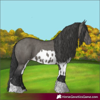 Horse Color:Grullo Tobiano Skewed LP Spotted