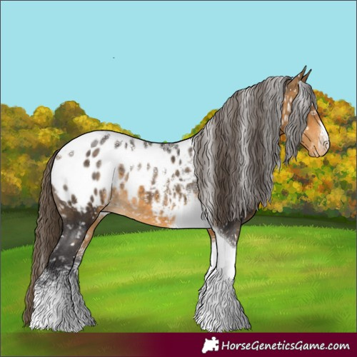 Horse Color:Powder White Buckskin Tobiano Appaloosa Rabicano 