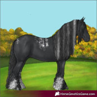 Horse Color:Powder White Black 