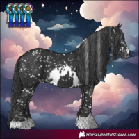 Horse Color:Black Skewed LP Spotted