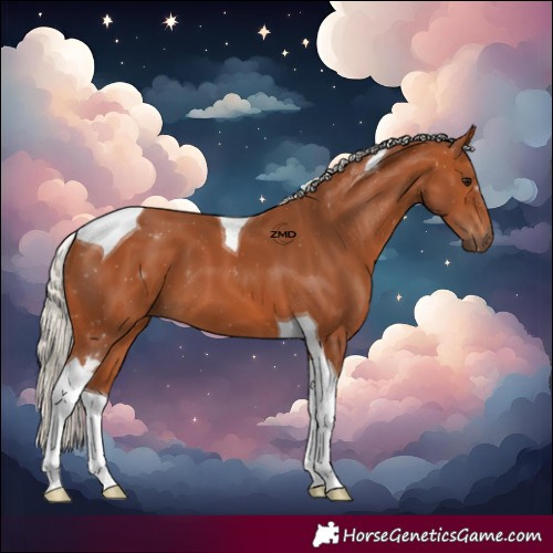 Horse Color:Silver Bay Tobiano 