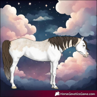 Horse Color:Buckskin Roan Dun Splash 