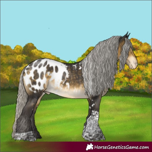 Horse Color:White Spotted Silver Buckskin Tobiano Appaloosa 
