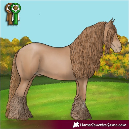 Horse Color:Black Pearl