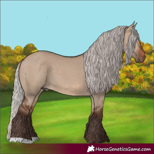Horse Color:Silver Brown Dun 