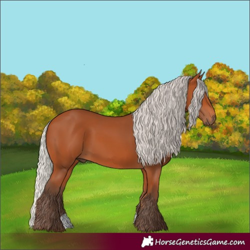 Horse Color:Silver Bay