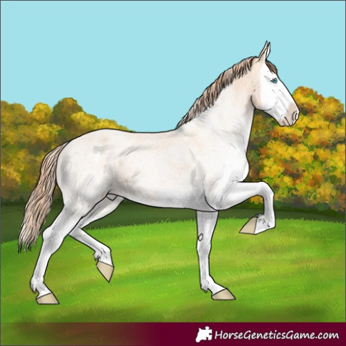 Horse Color:White Spotted Amber Champagne Pearl Splash 