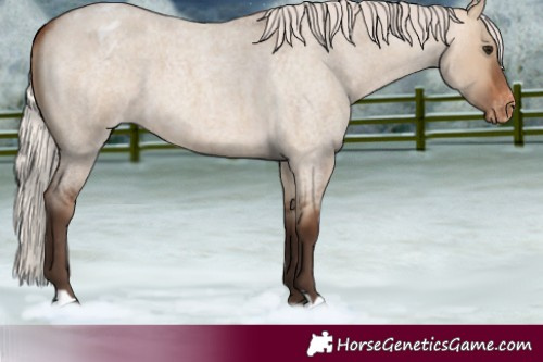 Horse Color:Silver Brown Roan Dun Varnish 