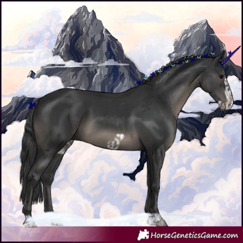 Horse Color:Black  and Black Frame 