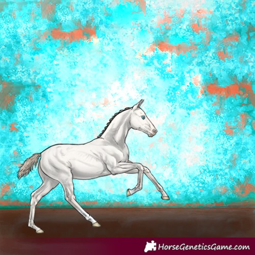 Horse Color:Perlino Roan Dun 