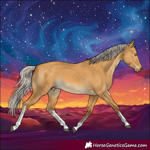 Horse Color:White Spotted Silver Buckskin Dun 
