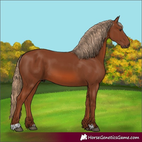 Horse Color:Unknown 