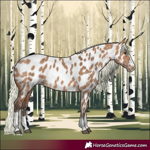 Horse Color:Silver Brown Dun Near Leopard