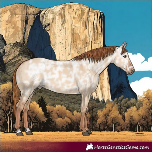 Horse Color:Red Dun Ice 