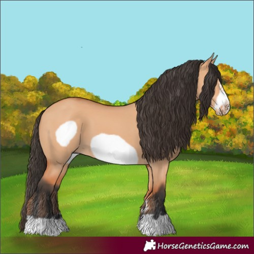 Horse Color:Bay Dun Frame 
