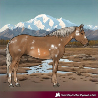 Horse Color:White Spotted Chocolate Palomino