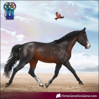 Horse Color:Brown Sabino 