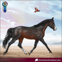 Horse Color:Brown Sabino