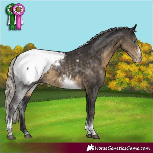 Horse Color:Silver Smoky Black Tobiano Frame Appaloosa 