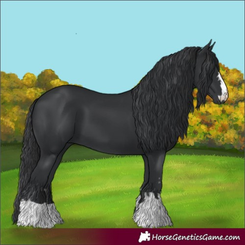 Horse Color:Unknown 