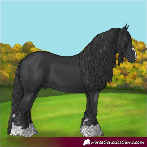 Horse Color:Unknown 