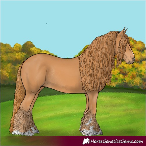 Horse Color:Chestnut Rabicano 