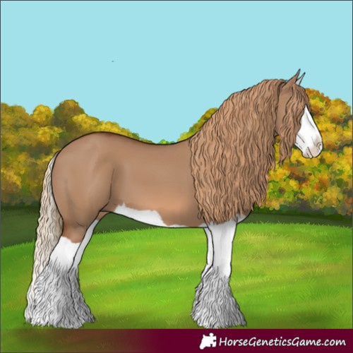 Horse Color:Red Dun Splash