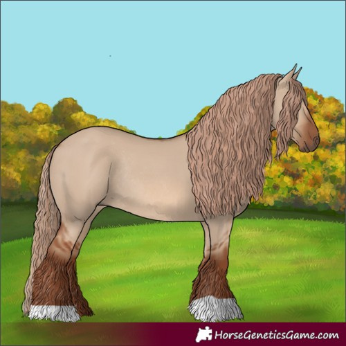 Horse Color:Red Dun Rabicano 