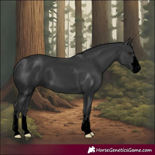 Horse Color:Void Black 